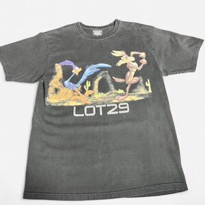 ✨ Vintage Lot 29 Looney Tunes Graphic Tee Y2K Wile E. Coyote Road Runner ✨